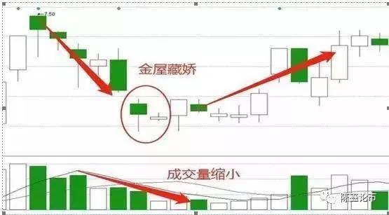 大悟县多少人口_大悟县第一中学图片(3)