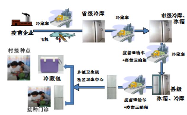 非免疫人口_细胞免疫
