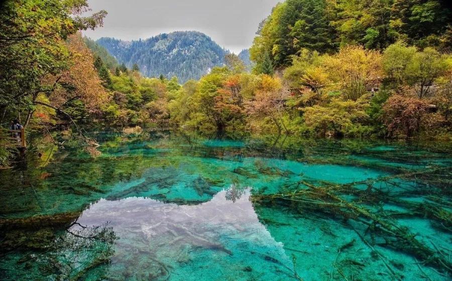 样板式旅游公厕，让如厕更有温度，让方便更“方便”