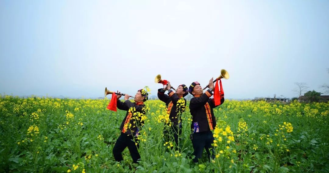 山歌牵出月亮来简谱_山歌好比春江水简谱