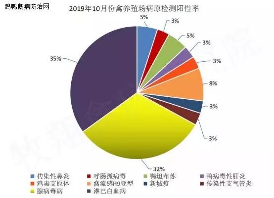 河南信阳地区固始县gdp_2019年信阳市各县区功能区GDP 固始县第一(3)