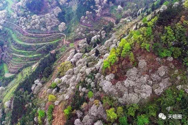 天峨县人口_广西几个难以快速发展的几个地区(2)