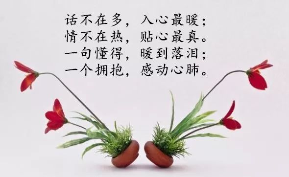 feca540a9f014840b757e383df485a06.jpeg