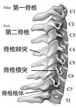 颈椎理疗加盟