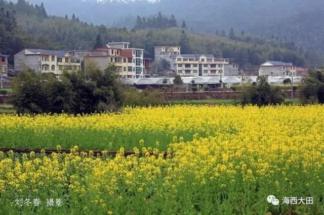 三明市将乐县高唐镇常口村 三明市明溪县沙溪乡梓口坊村 三明市三元区