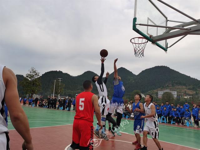 梦见他人打篮球我围观，一场关于团队协作与自我成长的梦境解析