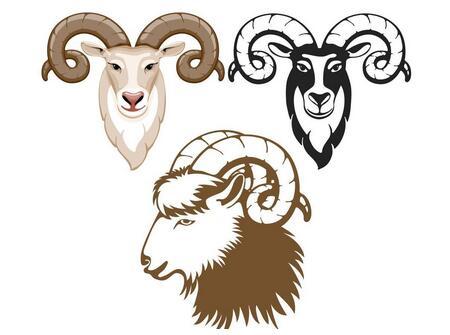 睥睨众生的羊系列 0d3374bcc9e547c1b4edac2893f0e547.jpeg