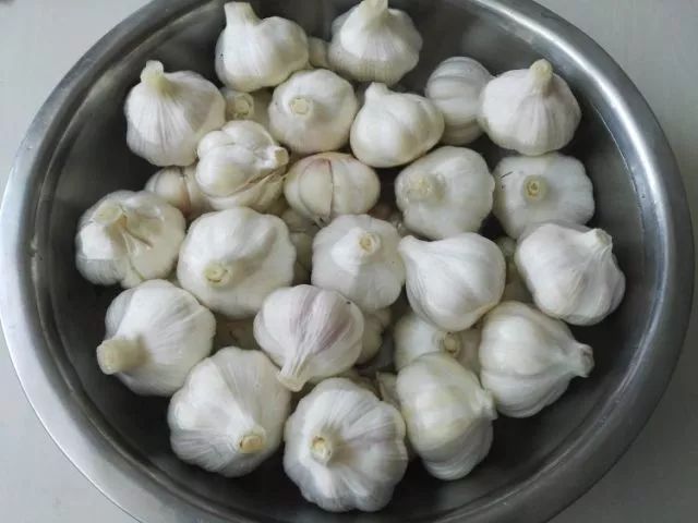 如何腌糖蒜不发绿 103e15b17c4e4953ab451523a6cfced7.jpeg