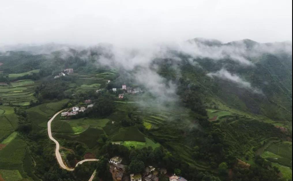 赵古花：从银行员工到“大山的女儿”-锋巢网