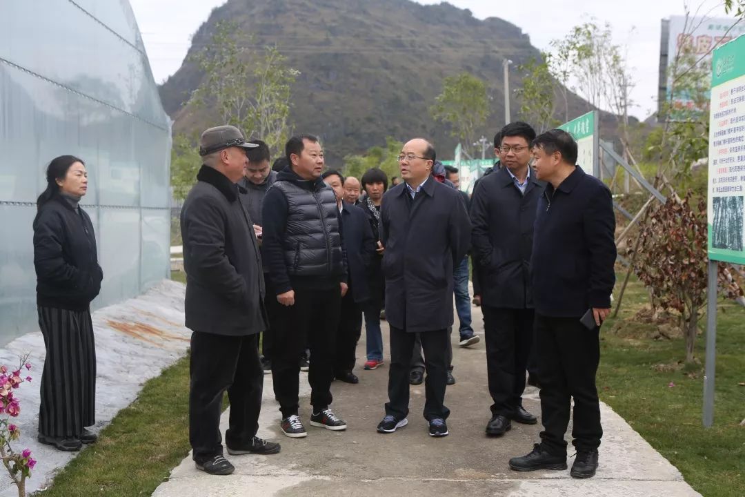 贵州省副省长吴强一行到荔波调研脱贫攻坚