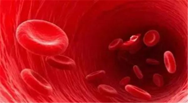 蓝色血液 25bc87be540a427fa293bb2ae34bd70f.jpeg