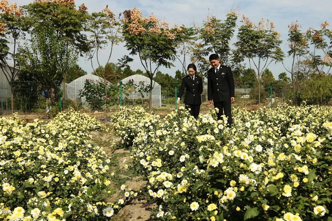 种植人口地_世界人口老龄化地图片