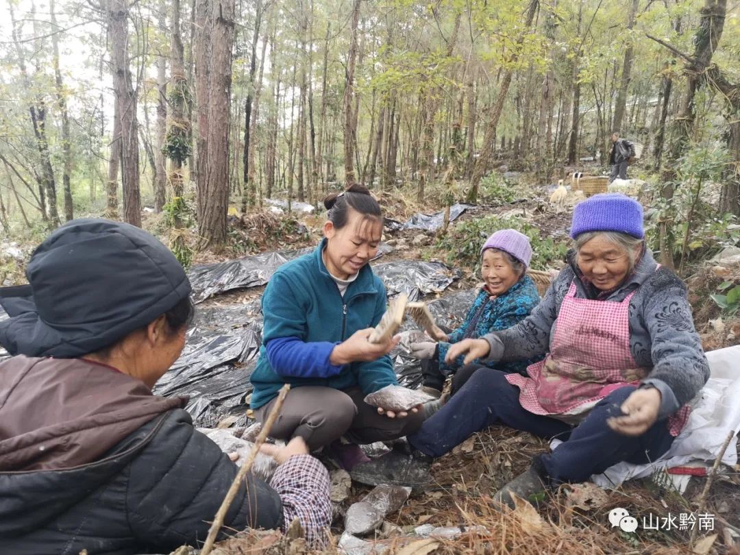 看看麻怀村与贵州民族大学签订的这份协议都有些什么内容