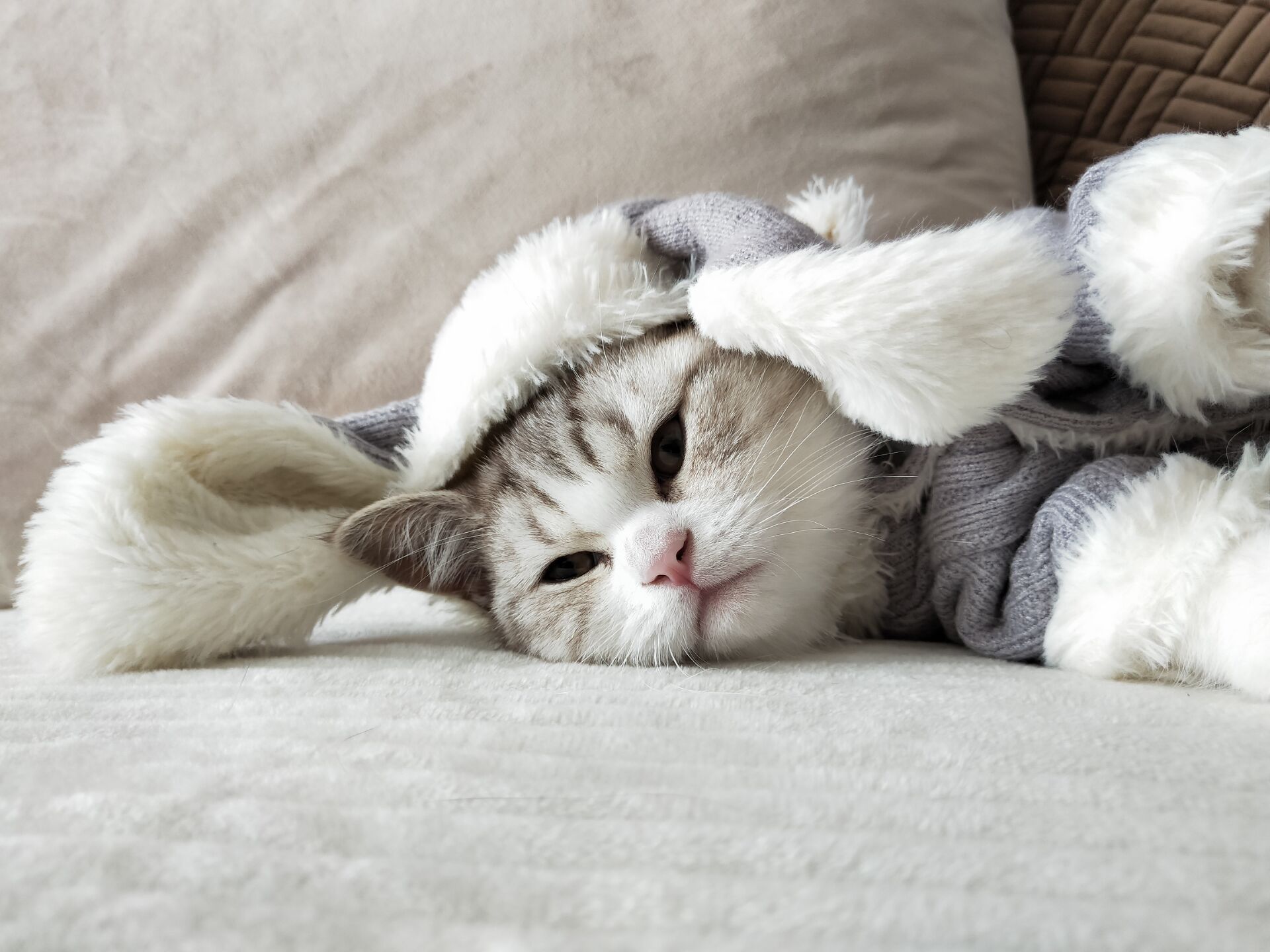 赵名辉塔罗占卜:我以后的生活会怎样?