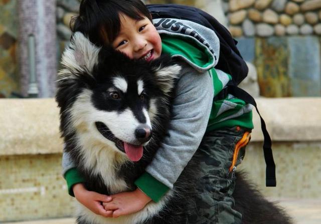 狗狗养多久不能送人 4ed4e386f2b74741a81960344e1fb664.jpeg