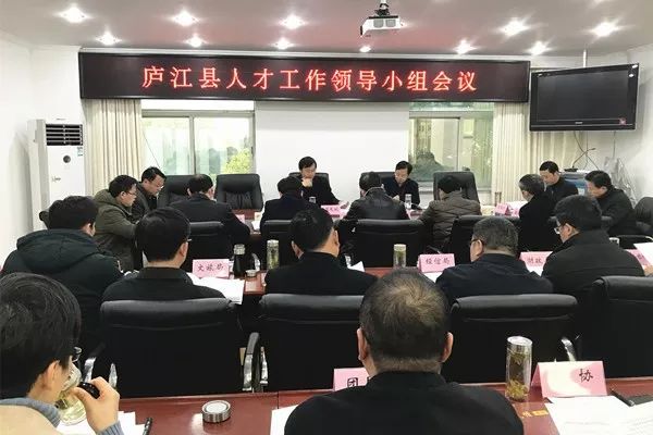 庐江县召开人才工作领导小组会议