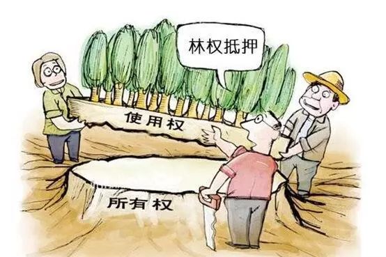 贷款对gdp的贡献_GDP背后一些被忽略真相 环比增速创历史新低(3)