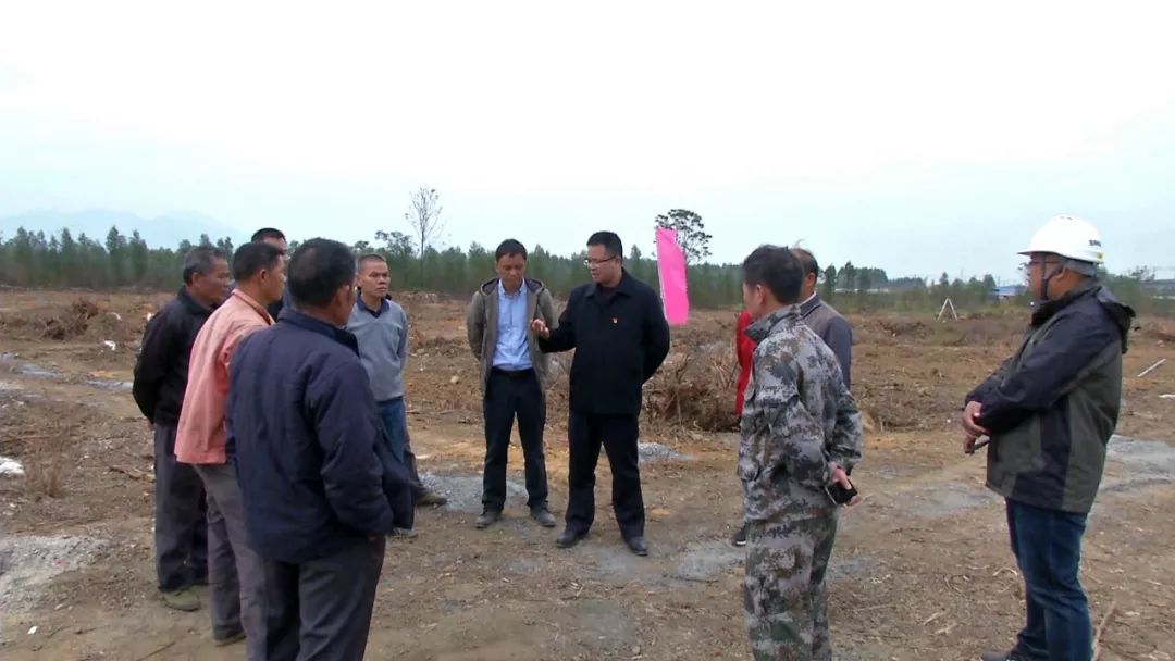 什么事近日桂平蒙圩镇流兰村600多亩土地统一流转