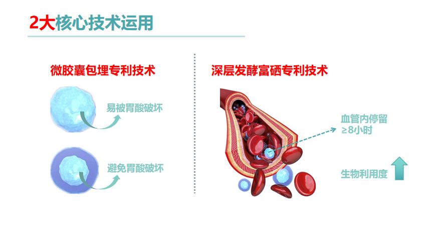 南方人口期刊_人口普查图片(3)