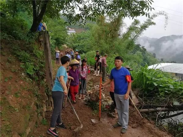 凤庆多少人口_凤庆粑粑卷图片