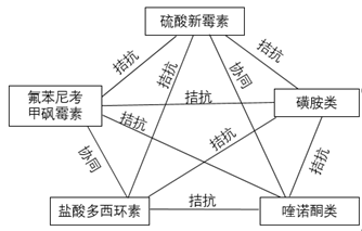 药理学GDP(3)