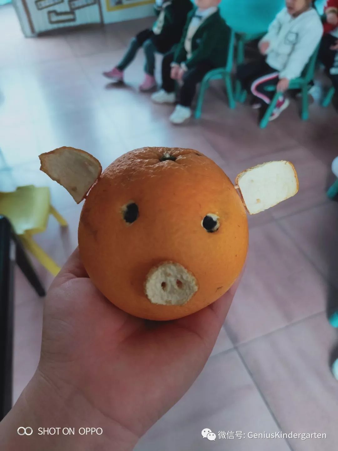 我们用摘来的大橙子,制作可爱的小动物