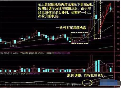 庞氏人口变迁_人口普查