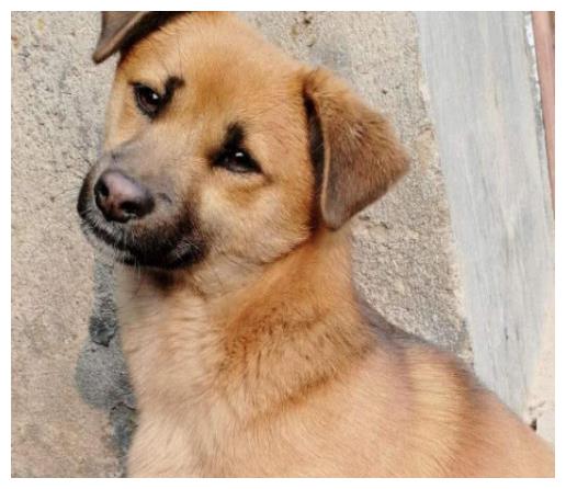 机器狗多少钱民用 aa8dfe45e45e4978a8ed1ff82409e41d.jpeg