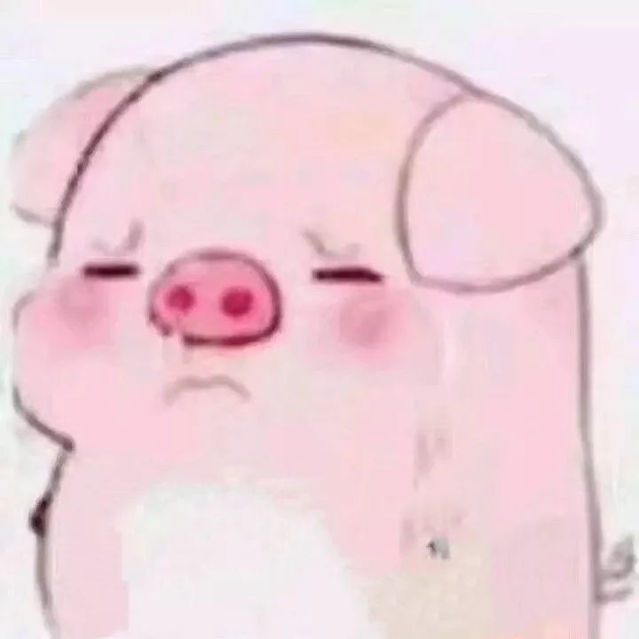 搞怪头像 | 摸摸小猪头,万事不用愁!