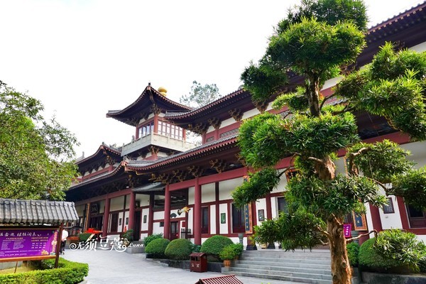 而青秀山上的观音禅寺,历史可追溯到980年前的北宋时期,那时候就已有