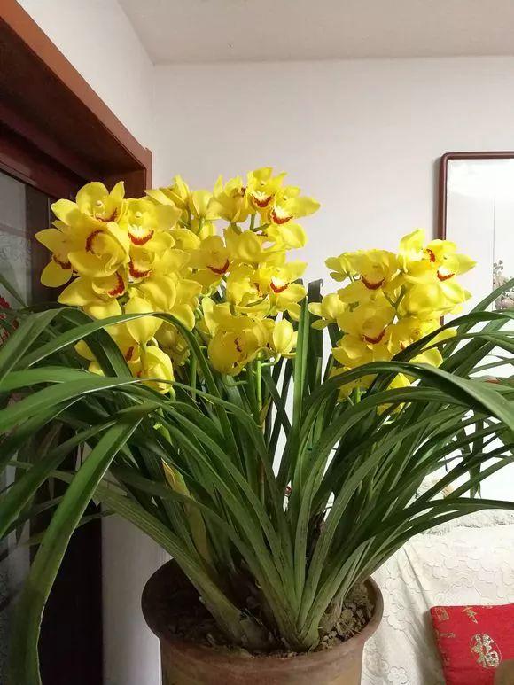 b58248e51ff241ed86a6d34d755057fa.jpeg