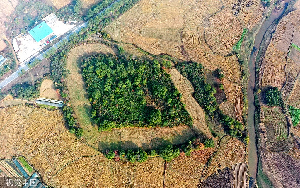 江西吉安发现史前环壕遗址 地处恩江北岸稻田中央