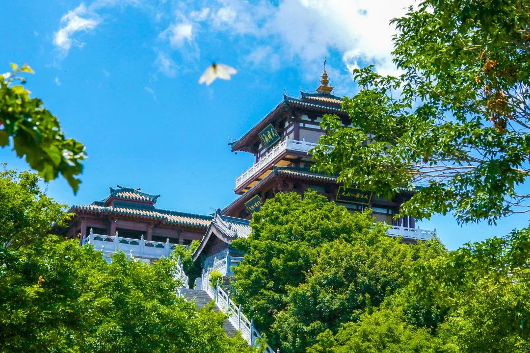 如何在抖音上卖景区门票 c77962061f544539850a92e9396955e3.jpeg