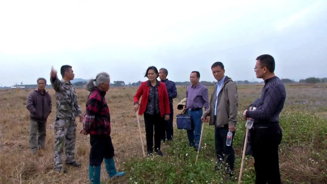 什么事近日桂平蒙圩镇流兰村600多亩土地统一流转