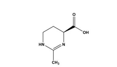 为了尽可能地减少水分流失,依克多因演化出了十分独特的分子结构,其"