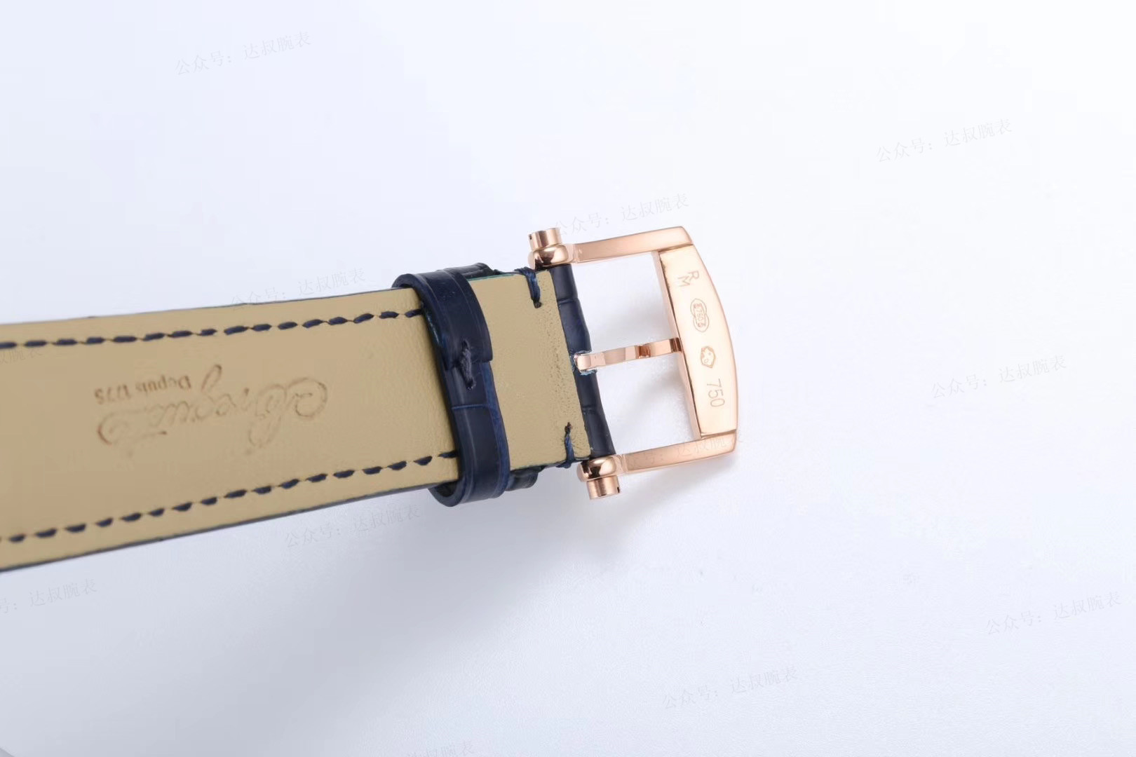 �������V9����MARINE����ϵ��5517�����