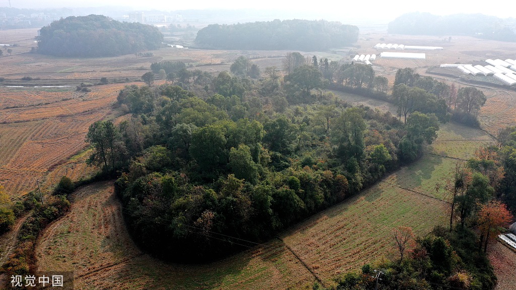 江西吉安发现史前环壕遗址 地处恩江北岸稻田中央