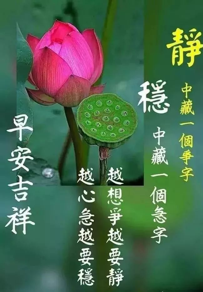 最棒早安问候祝福语动画表情动态图片,温馨早安问候语