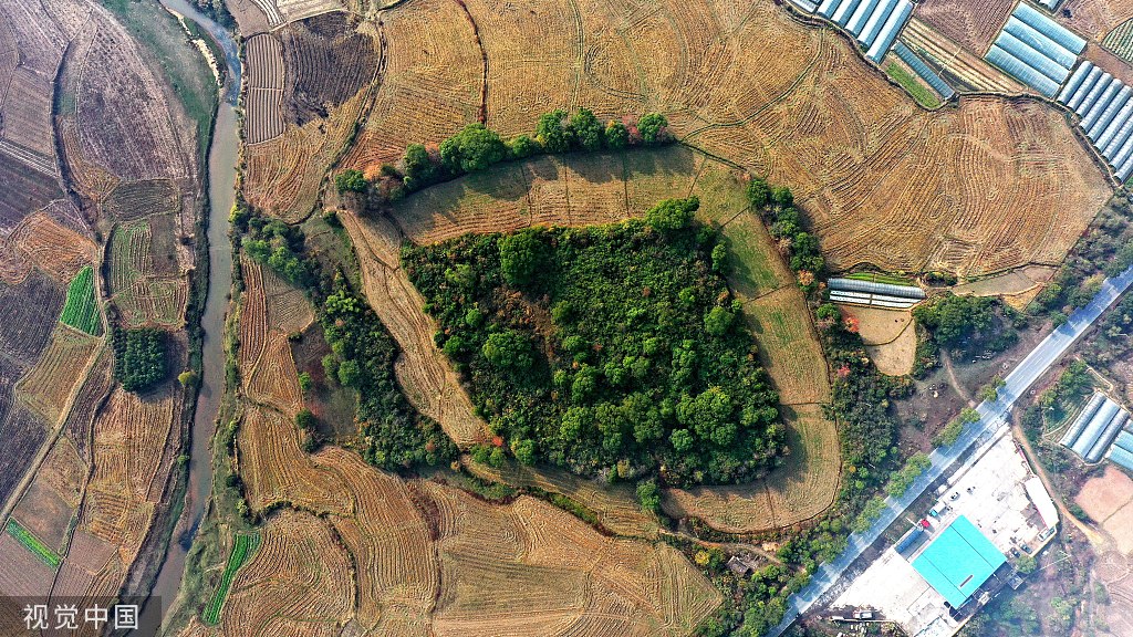 江西吉安发现史前环壕遗址 地处恩江北岸稻田中央