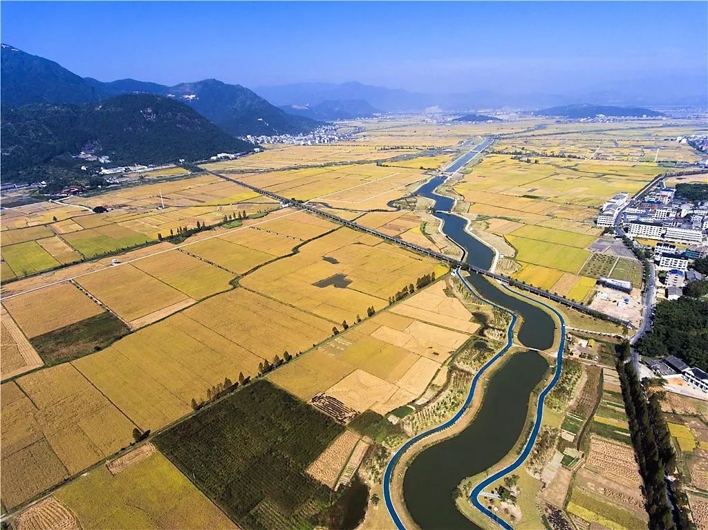 瑞安曹村多少人口_瑞安曹村天井垟风景区