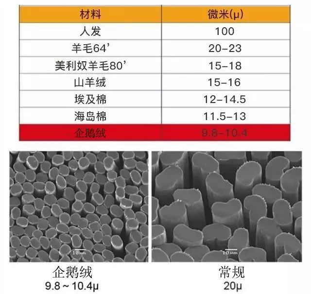 内衣程序_程序代码图片