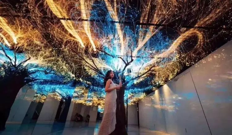 299打卡火遍抖音的时光穿越梦幻馆360沉浸超美星空