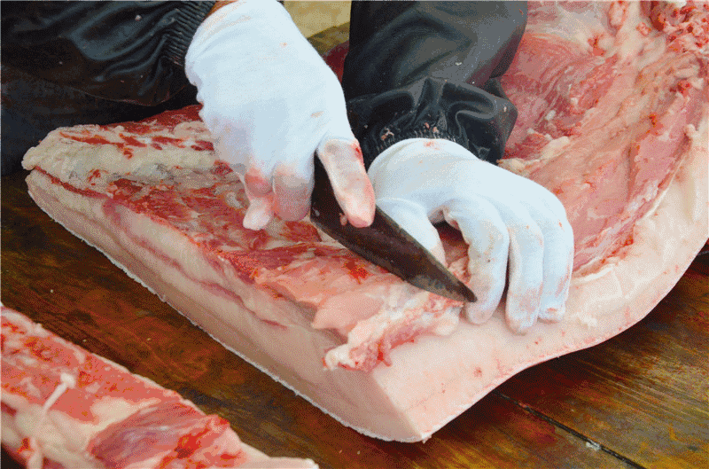 两节将至猪肉需求递增,想要提高肉猪出栏率就用杜仲叶