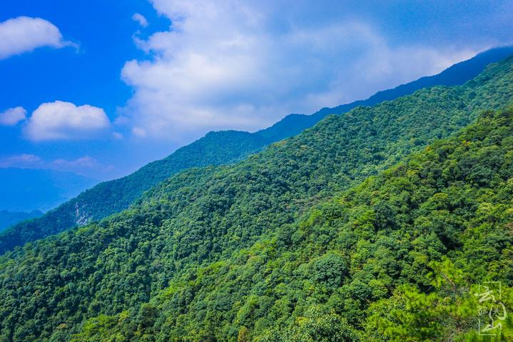 妙屋山 0847ac499a9e4aee8658c5bade968da3.jpeg