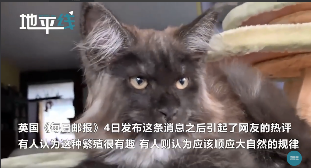 1044017f3b384dd1b879a8a9adb37260.png