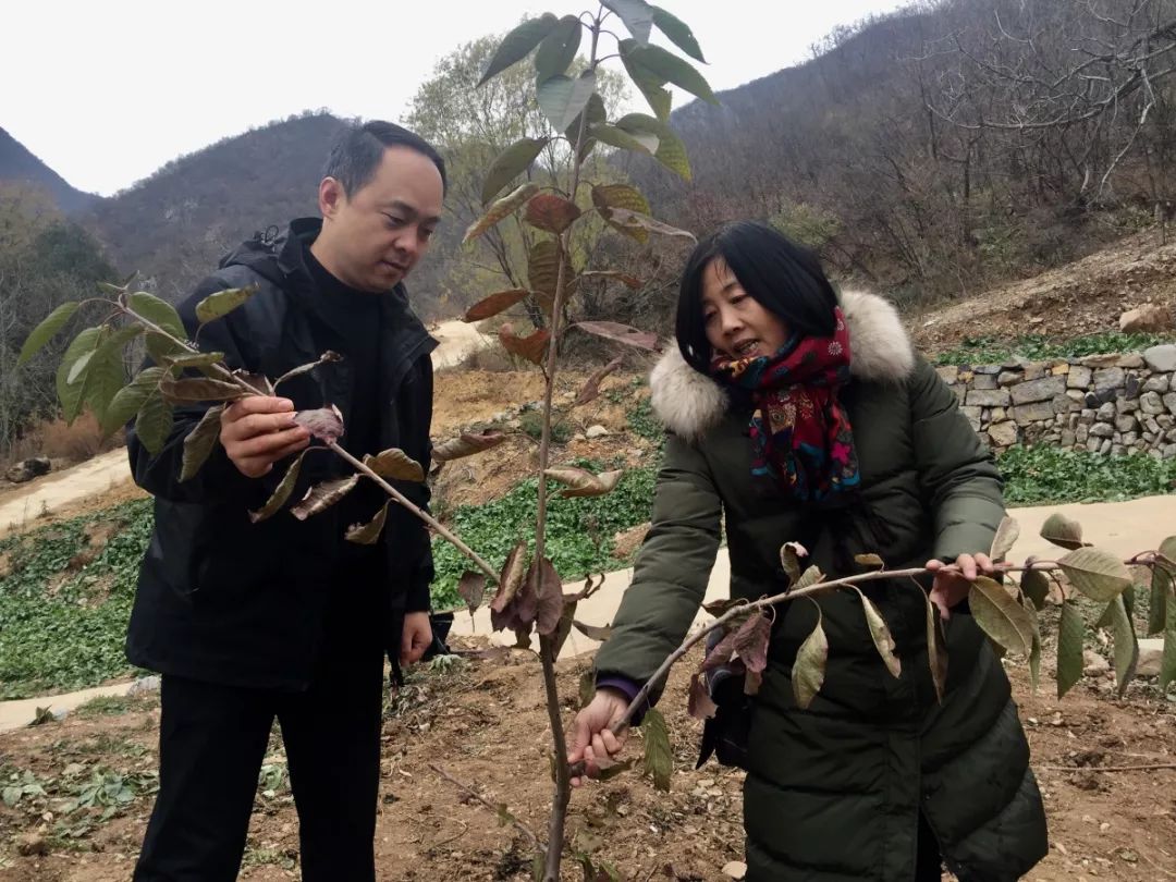 修武县有多少人口_修武县地图(3)