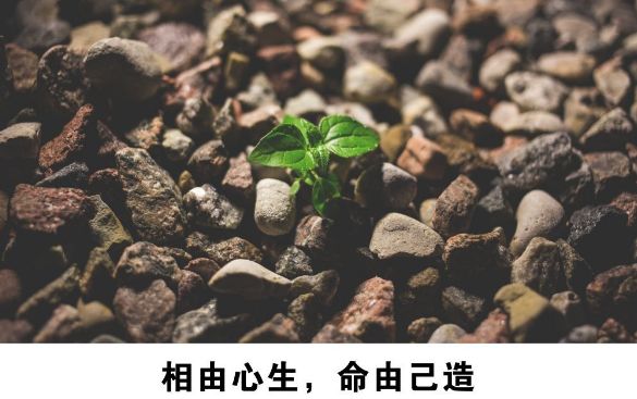2409dfb7de954654b0930d852f2a40a2.jpeg