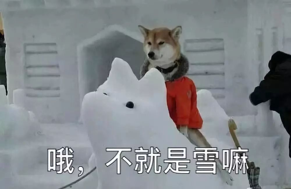 是这样的北方人看雪是这样的南方人看雪完全不同南方人和北方人的