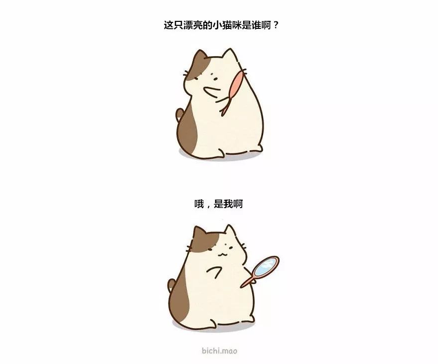 猫猫漫画,也是过分可爱了