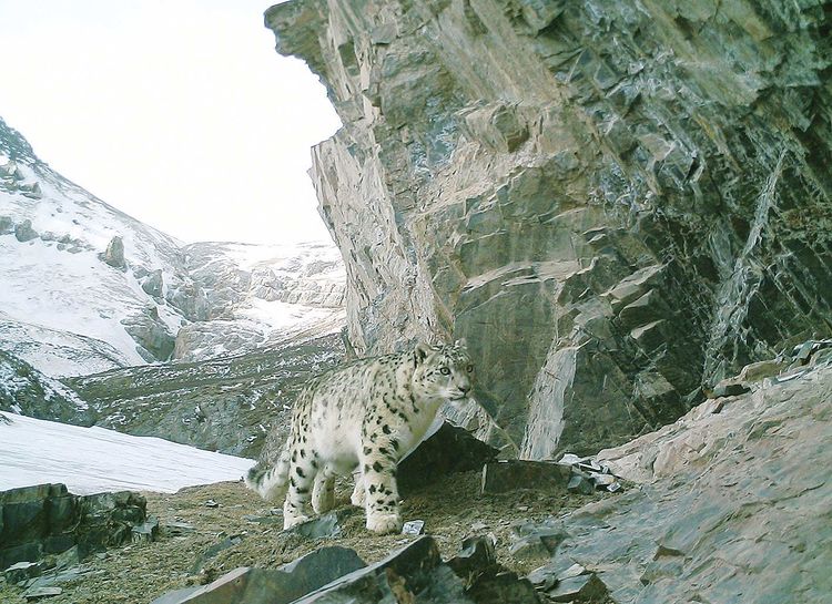 阿尼玛卿山下发现15万平方公里的空洞,青藏高原是空心